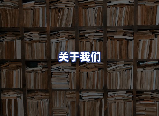 专业团队